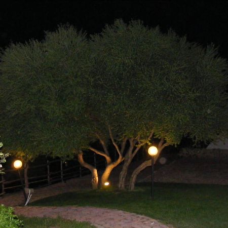 Tenuta Su Vrau Posada  Exterior foto