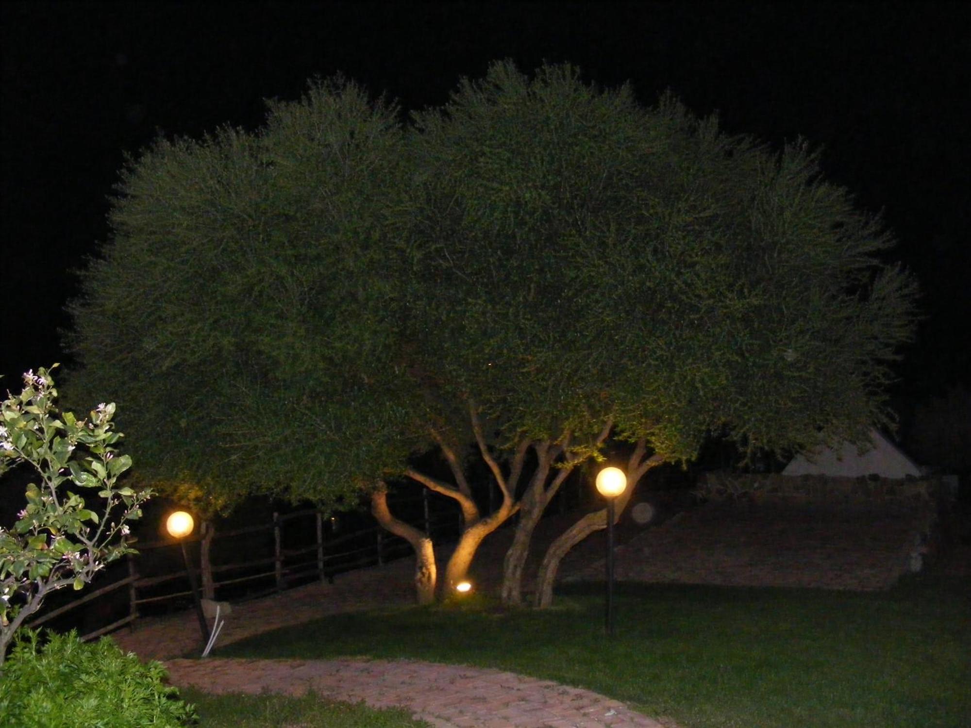 Tenuta Su Vrau Posada  Exterior foto